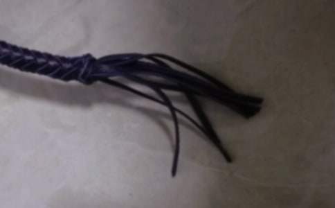 梦见被鞭子抽