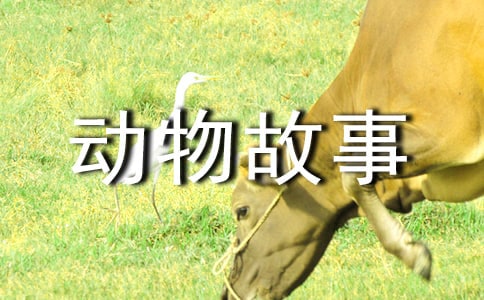 动物故事作文汇编(6篇)