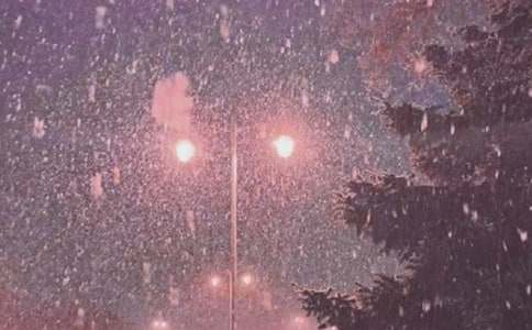 ��ѩ�еİ���������������