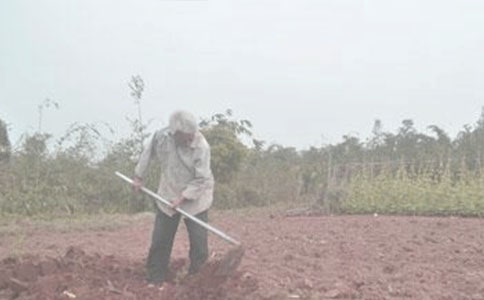梦见种地耕田