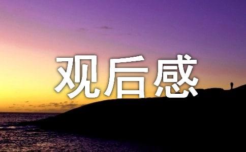 《我的秘密生活》 观后感范文