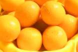 金桔干的功效与作用