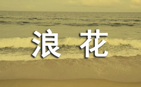 生活中的一朵浪花