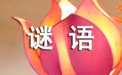 生活趣味谜语大揭秘