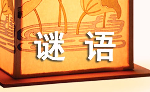 儿童生活用品谜语