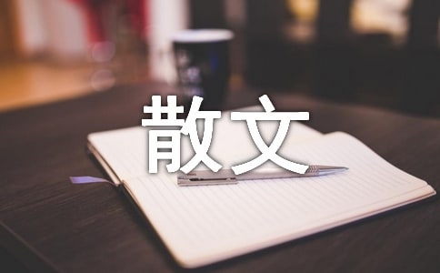 生活需要支撑也要学会承受散文