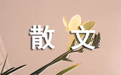 诗歌与生活是相通的散文