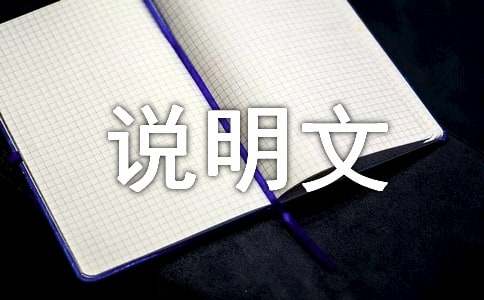 我的房间说明文作文