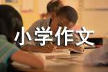 我的房间小学作文九篇