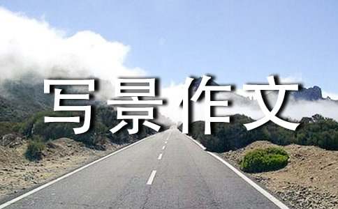 我的房间的写景作文450字