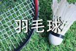 梦见羽毛球
