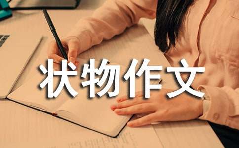 我的房间状物作文