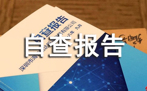 生活作风自查报告