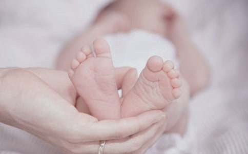 ��֪���� Ӥ���������������