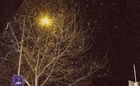 (��Ʒ)����Ĺ�������