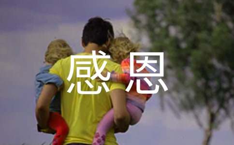 感恩故事作文(共8篇)