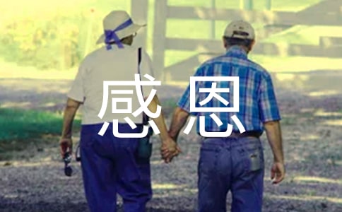 (集合)感恩故事作文