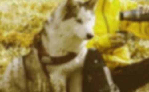 ��β����ô󱦶�����г�ദ