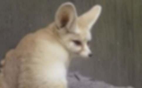 ����Ĺ������ľ�Ʒ[4ƪ]