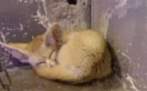 ���ϼ�������Ĺ�������3ƪ