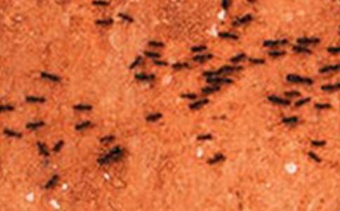 �����ϡ����Ϲ�������9ƪ