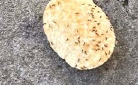 �����㣩���Ϲ�������6ƪ