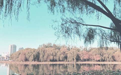 ���������޳�����С���＾��к