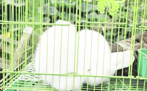 [��]���ӵĹ�������3ƪ