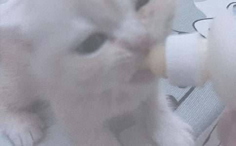 ι��������Ӳ�����ܲ��� �������������