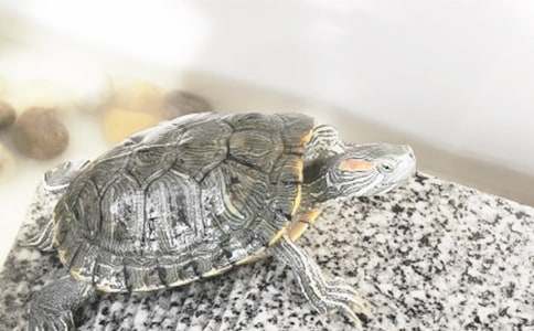 �μ��ܶ�С�ڹ�