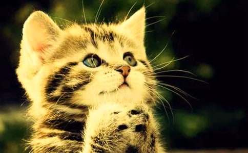 �μ�СèץС����