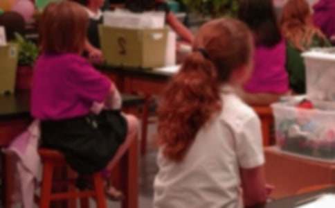 Сѧ����������ѧϰ�ƻ��ϼ�8ƪ