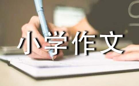 我的房间小学作文300字3篇(精)