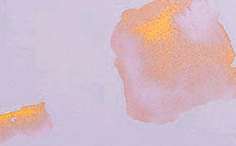 ����������(ʵ��)