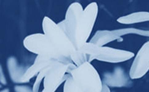 �μ���������