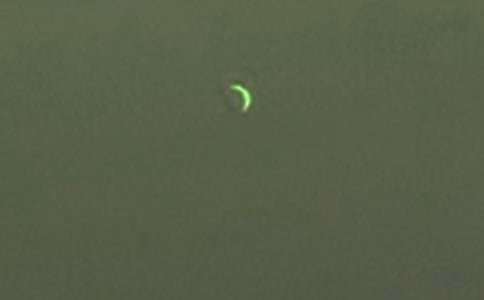 �����Ĺ�������[����]