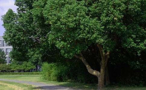 2021��ͨ�������簲����΢��36��