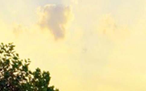 �������������簲����QQ25��