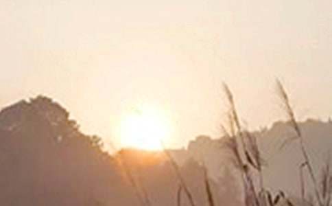 2021���̵������簲�������61��