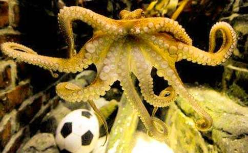 �μ�������