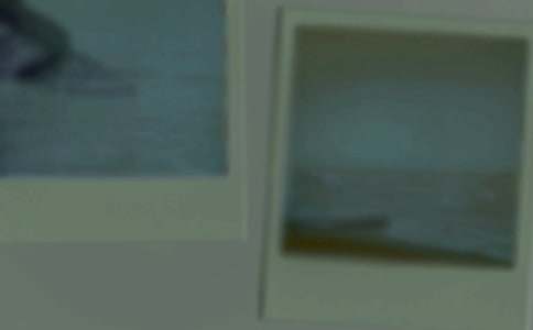 照片的故事的作文(汇总3篇)