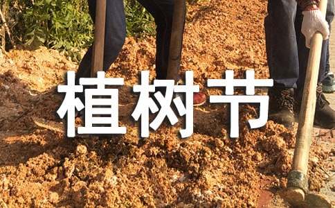 ֲ����Сѧ�������