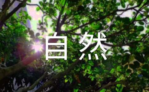 �����Ȼ��������������Щ