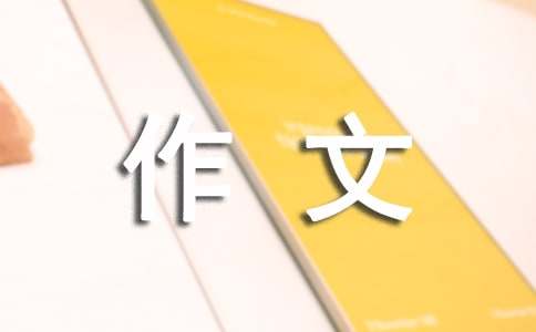 【精品】规则作文300字