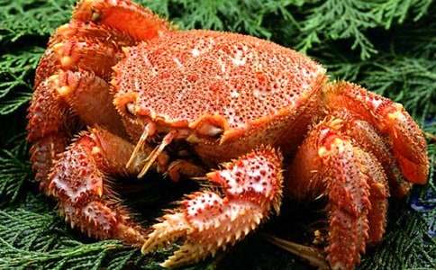 �����ܳ��з��