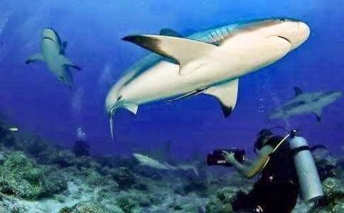 �μ���������