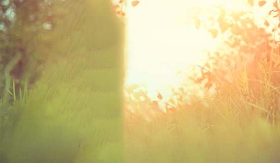 ����Ψ��������ӣ���ѡ120�䣩